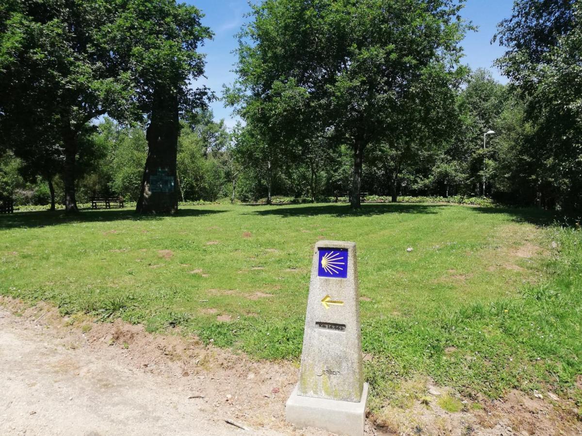 Camiño Real *