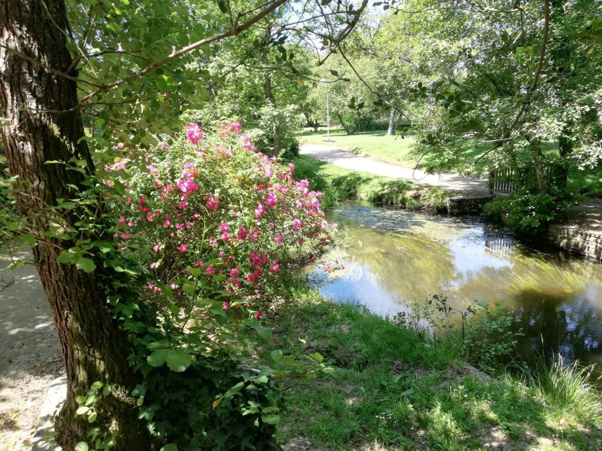 Camiño Real